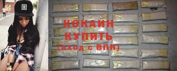 шишки Ельня