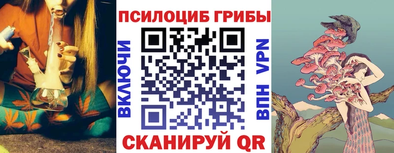 Купить где  Трёхгорный  Псилоцибиновые грибы Cubensis 